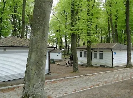 Ow Gromada Pod Bukami 2*