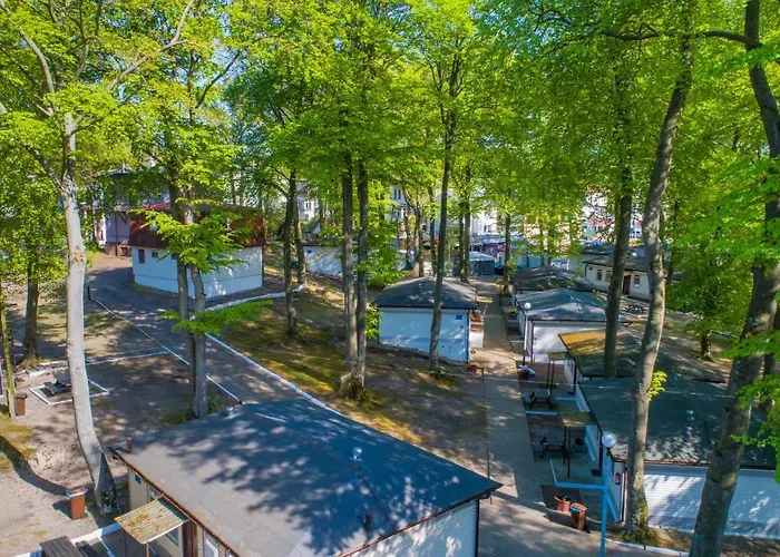 Ow Gromada Pod Bukami 2*